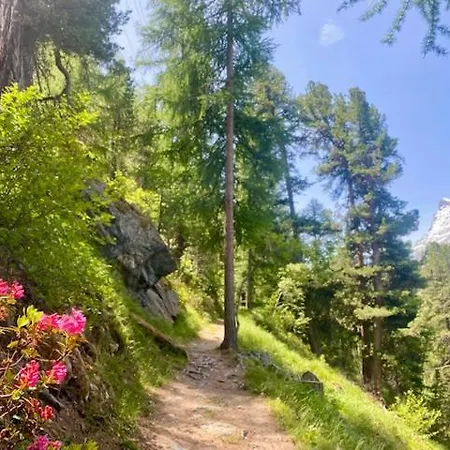 Place For Relax - Matterhorn View *
